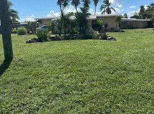 Mark W.'s lawn care service result