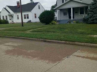 Carmen O.'s lawn care services service result