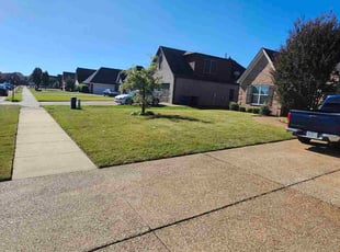 Danielle M.'s grass cutting service result