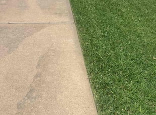Umer Y.'s grass maintenance service result