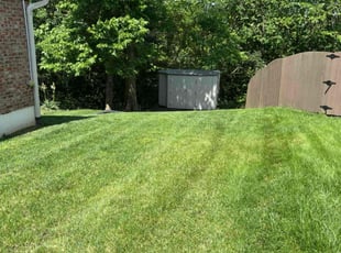 Curtis S.'s lawn care service result