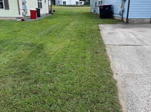 Teressa H.'s turf care service result