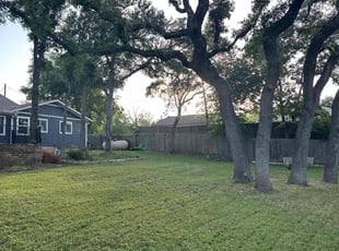 Mark T.'s turf care service result