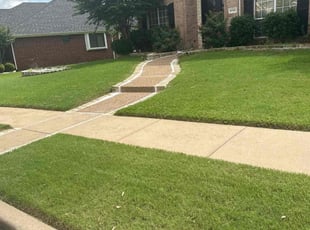 Jimmy B.'s turf care service result