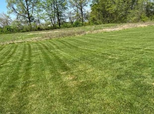 Craig S.'s grass cutting service result