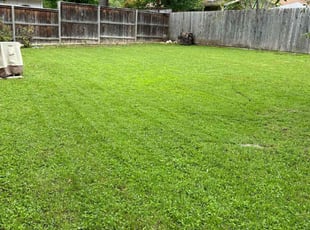 Justin M.'s lawn service service result