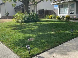 Giselly S.'s lawn care service result