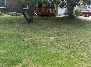 Candice N.'s grass maintenance service result