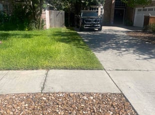 Dan M.'s turf care service result