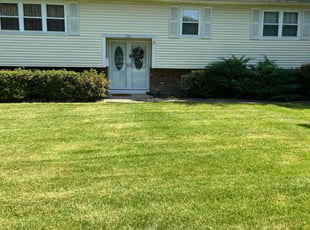 Crystal F.'s lawn care services service result