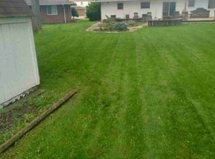 Azafirah M.'s lawn care services service result