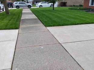 Michael C.'s lawn service service result