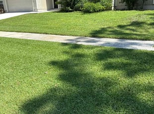 Khalid B.'s lawn care service result