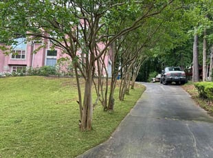 Jonathan C.'s lawn care service result