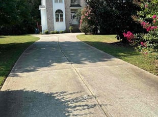 Govind R.'s lawn care service result