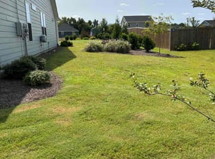 Mark F.'s lawn care service result
