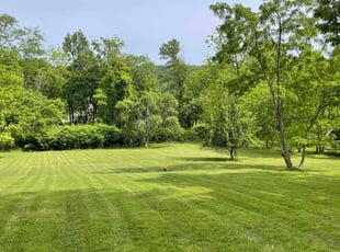 Leslie C.'s lawn service service result
