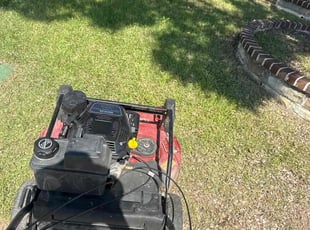 Kim H.'s turf care service result
