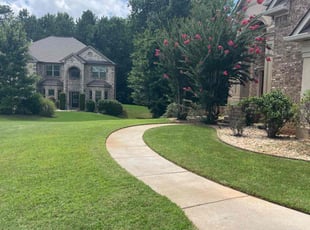 Chiquita P.'s lawn care service result