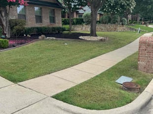 Qqqq Q.'s turf maintenance service result