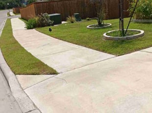 Madison C.'s grass cutting service result