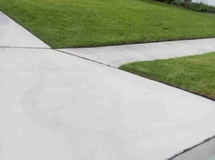 Michelle L.'s grass cutting service result