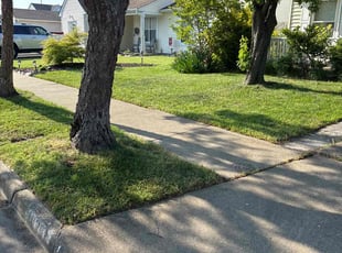 Markisha G.'s lawn care services service result