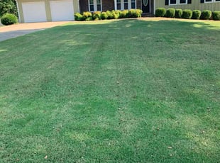 Bobbie C.'s grass cutting service result