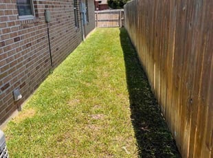 Elizabeth R.'s turf care service result