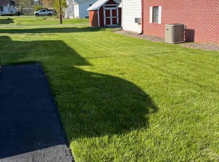 Annie F.'s lawn care services service result