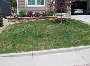 Phyllis C.'s lawn service service result