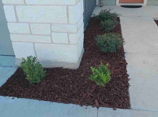 Chris M.'s Mulching service result