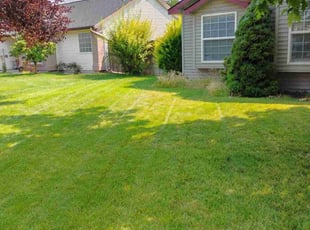 Ann H.'s lawn care services service result