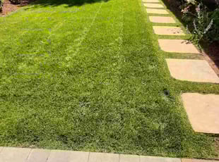 Hannah L.'s lawn service service result