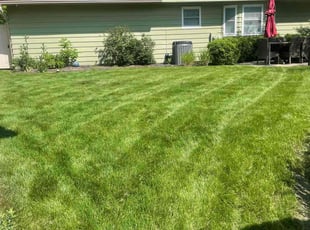 Lindsie W.'s turf care service result