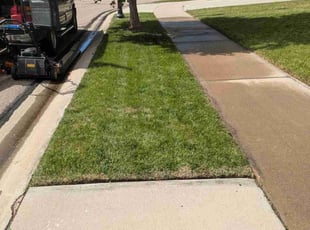 Jaden H.'s turf maintenance service result