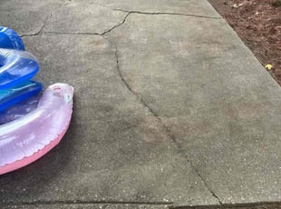 Dorene M.'s lawn care service result