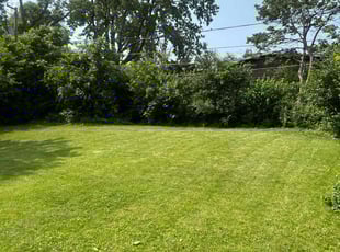 Alicia K.'s lawn maintenance service result