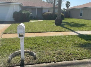 Dan S.'s lawn maintenance service result