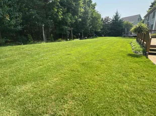 Laura D.'s lawn service service result