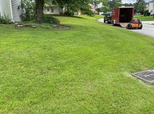 Deoundrea K.'s turf care service result