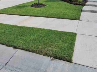 Antia H.'s grass cutting service result