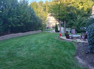 Kristin J.'s grass maintenance service result