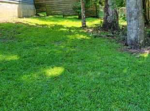 Kathy L.'s lawn maintenance service result