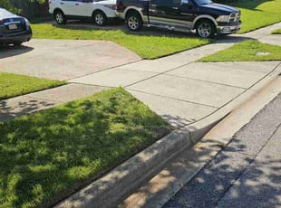 Tish B.'s lawn service service result