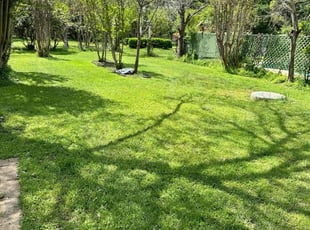 Jacob L.'s lawn maintenance service result