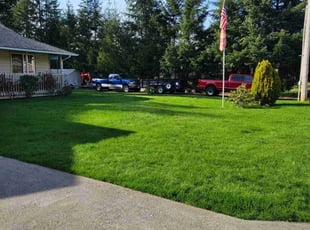George T.'s lawn maintenance service result