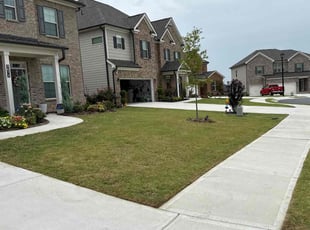 Jose N.'s grass maintenance service result