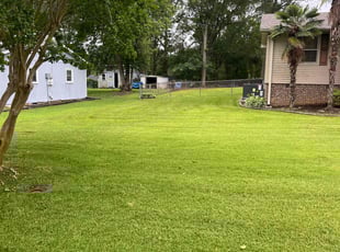 Tonya A.'s turf care service result
