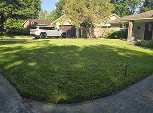 Naomi C.'s grass cutting service result